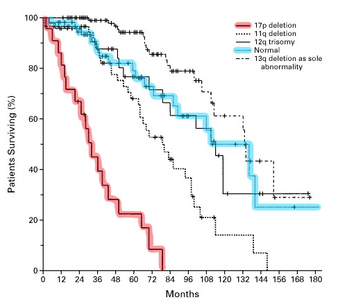 выживаемость при делеции 17p
